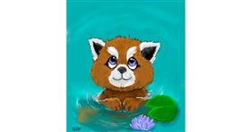 Crvena panda - autor: GreyhoundMama