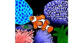 Clownfish-Zeichnung von Sasha