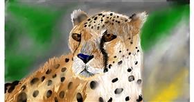 Drawing of Cheetah by Mia