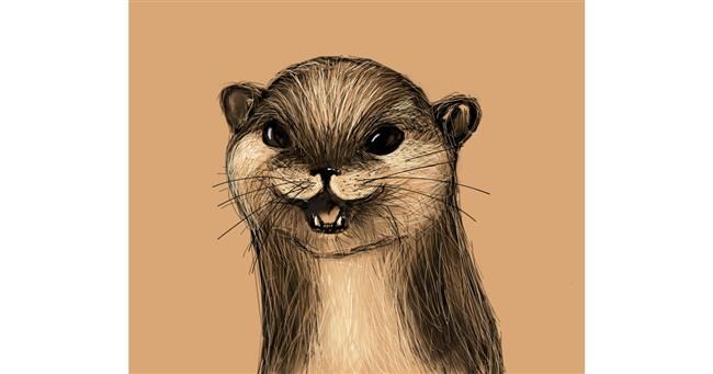 Drawing of Otter by Labyrinth