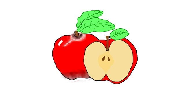 Drawing of Apple by Unknown