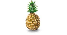 Drawing of Pineapple by Andromeda