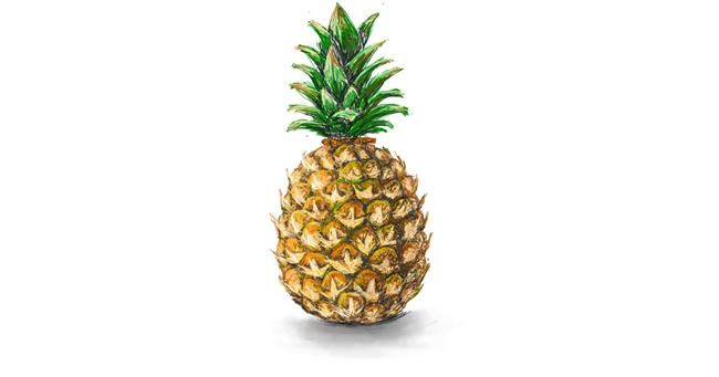 Drawing of Pineapple by Andromeda