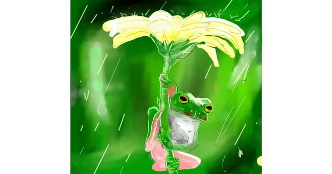 Drawing of Frog by Nru