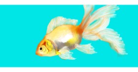Drawing of Goldfish by Kim