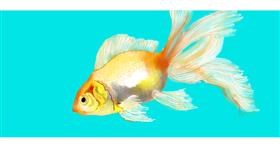 Drawing of Goldfish by Kim