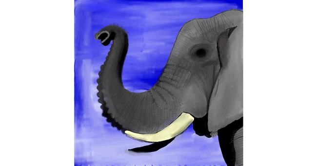 Drawing of Elephant by Lou