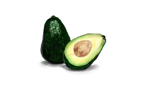 Drawing of Avocado by Chaching