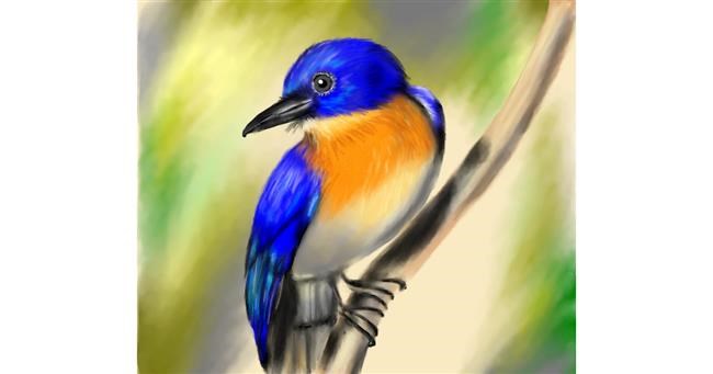 Drawing of Bird by RadiouChka