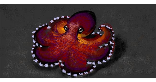 Drawing of Octopus by shiNIN