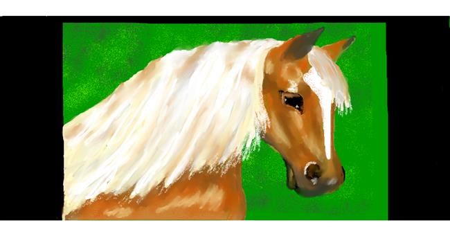 Drawing of Horse by DebbyLee