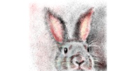 Drawing of Rabbit by Heavyhand