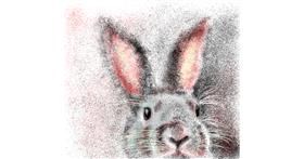 Drawing of Rabbit by Heavyhand