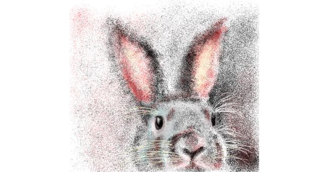 Drawing of Rabbit by Heavyhand