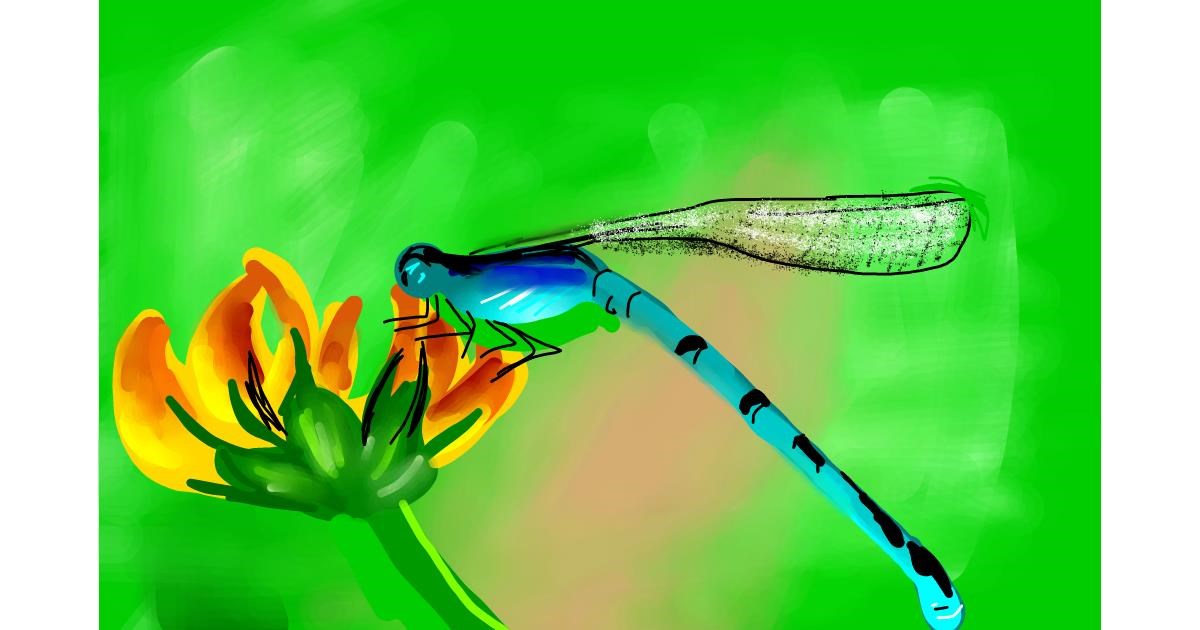 Drawing of Dragonfly by Rose rocket