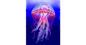 Drawing of Jellyfish by ⋆su⋆vinci彡