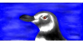 Drawing of Penguin by Robin