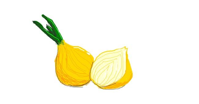 Drawing of Onion by Vv
