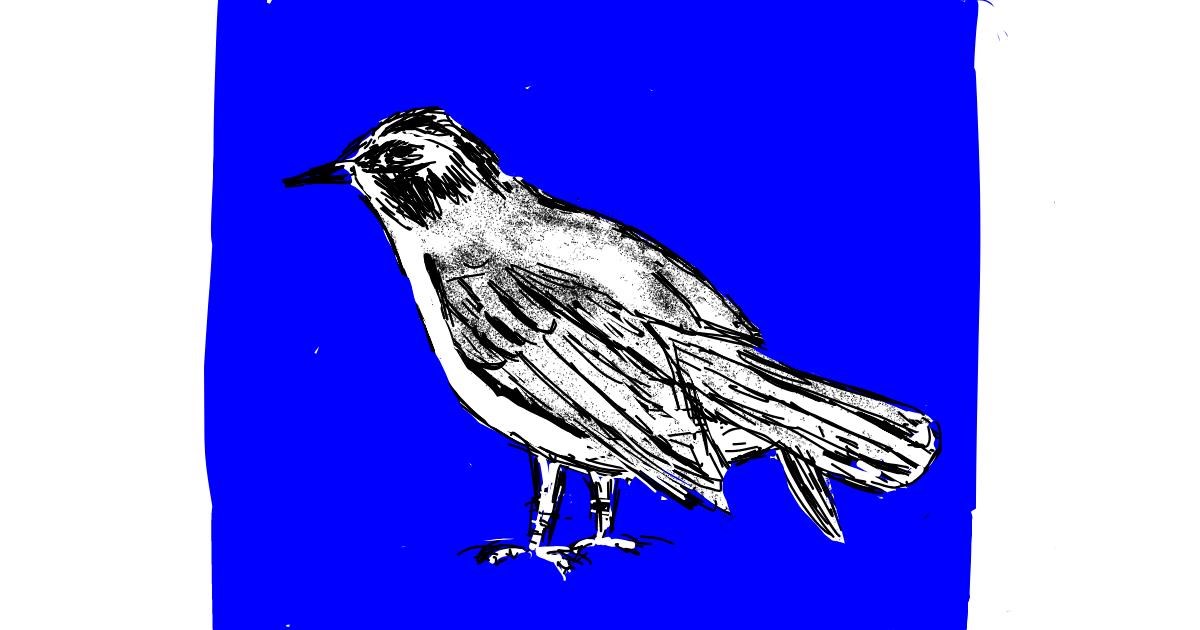 Drawing of Bird by Lsk