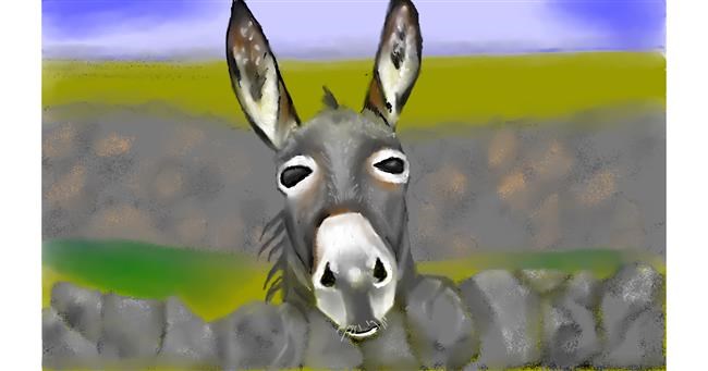Drawing of Donkey by Tim