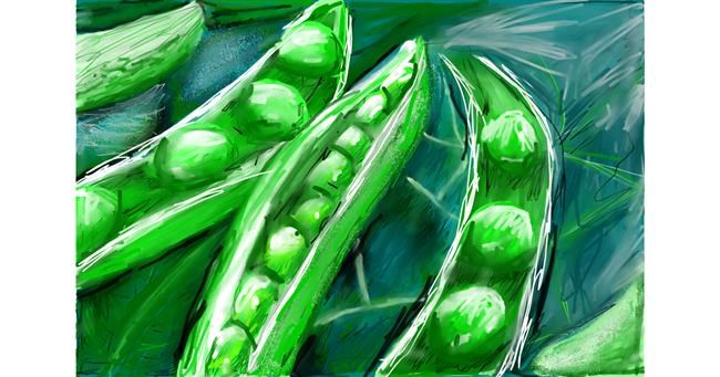 Drawing of Peas by Soaring Sunshine