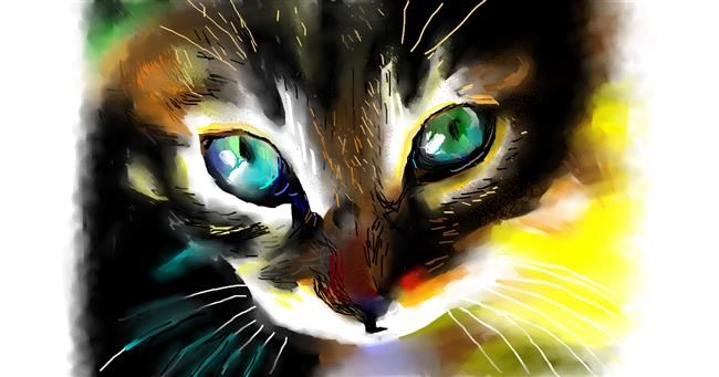 Katze-Zeichnung von Herbert