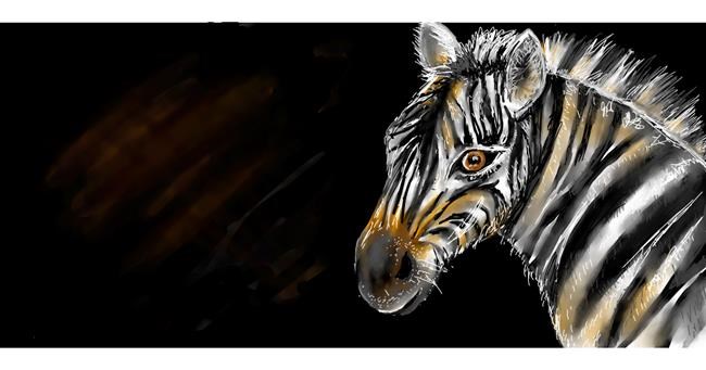Drawing of Zebra by Robin