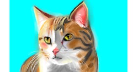 Drawing of Cat by Edgar