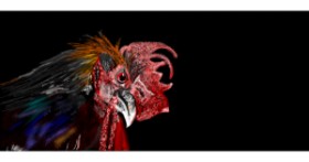 Drawing of Rooster by Çhåching