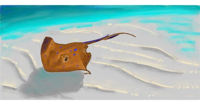 Drawing of Stingray by shiNIN