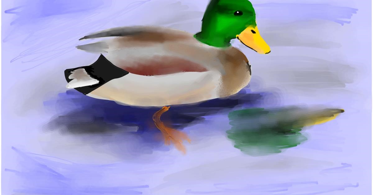 Drawing of Duck by Ryu