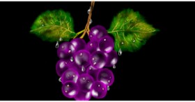 Grožđe - autor: Eclat de Lune
