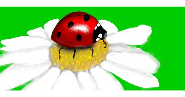 Drawing of Ladybug by SAM AKA MARGARET 🙄