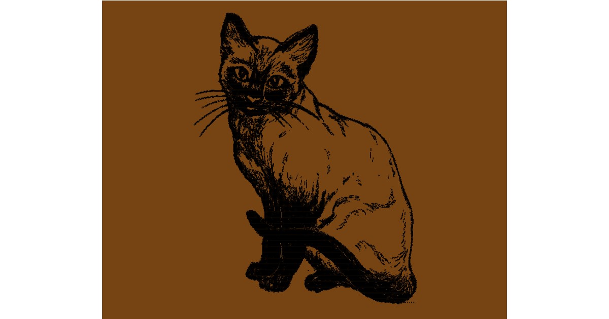 Full Size Drawing