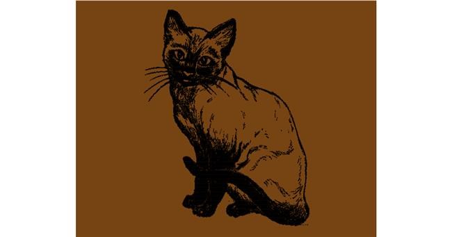 Katze-Zeichnung von Mostafa