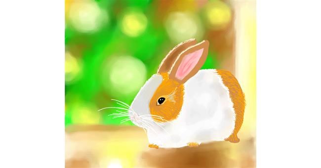 Drawing of Rabbit by Joze