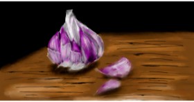 Drawing of Garlic by Eclat de Lune