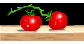 Drawing of Tomato by DebbyLee