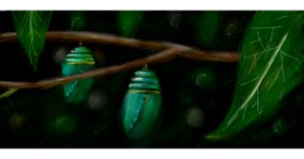 Drawing of Caterpillar by Shiney🪶