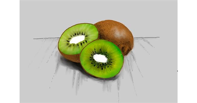 Drawing of Kiwi fruit by Bibattole
