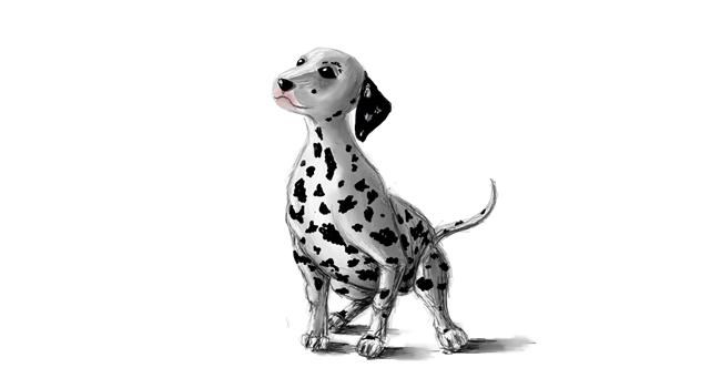 Hund-Zeichnung von Andromeda