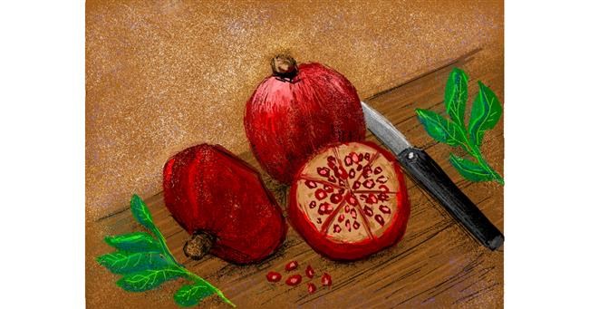 Drawing of Pomegranate by Tara