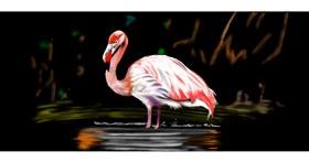 Drawing of Flamingo by Chaching