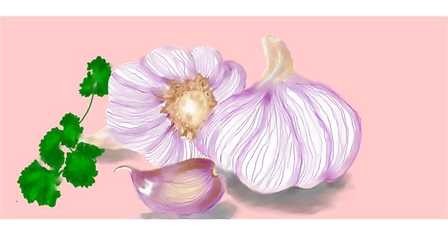 Drawing of Garlic by Debidolittle