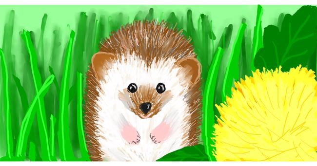 Drawing of Hedgehog by Taz