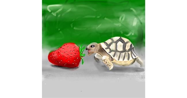 Drawing of Tortoise by Rose rocket