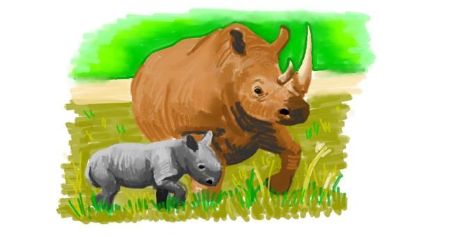 Drawing of Rhino by shiNIN