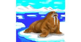 Drawing of Walrus by Dexl