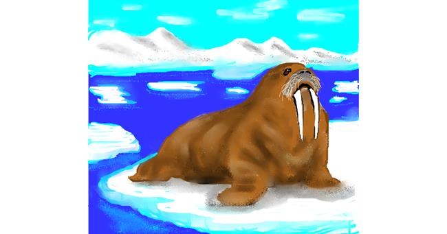 Drawing of Walrus by Dexl