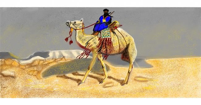 Kamel-Zeichnung von Chaching
